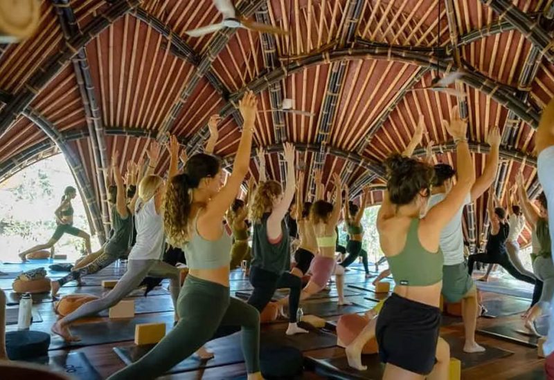 alchemy-thecasafederici-3