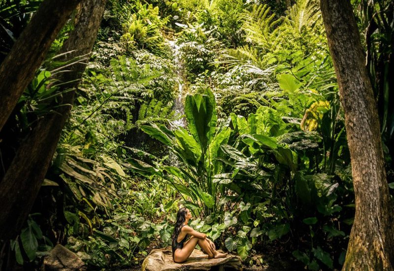 como-shambala-thecasafederici-5